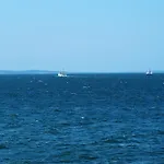 Apartman Tulipan - Visitopl Międzyzdroje