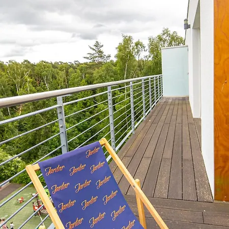 Tulipan - Visitopl * 米兹多洛杰