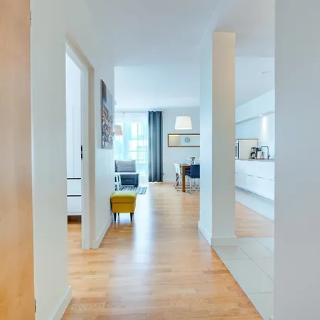 Tulipan - Visitopl 米兹多洛杰