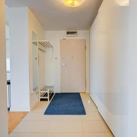 Tulipan - Visitopl 米兹多洛杰