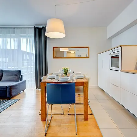 Tulipan - Visitopl 米兹多洛杰