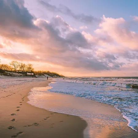 Tulipan - Visitopl 미엥지즈드로예