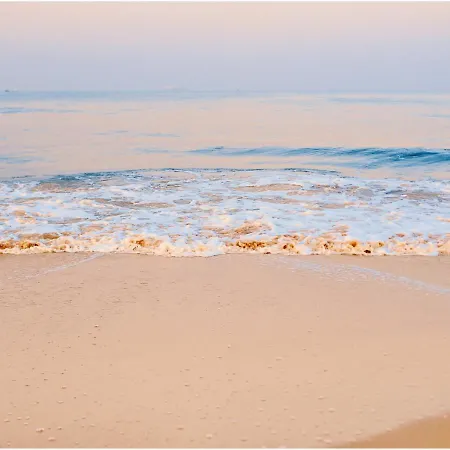 Tulipan - Visitopl Międzyzdroje