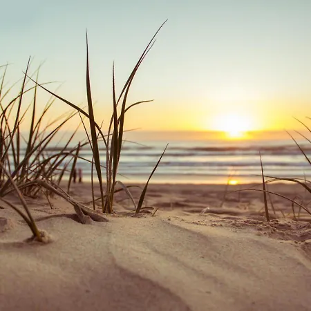 Apartman Tulipan - Visitopl *