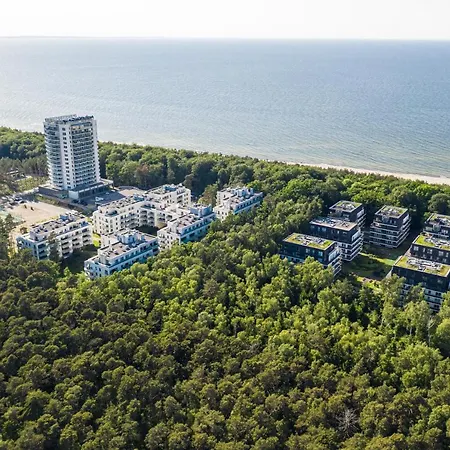 Tulipan - Visitopl *