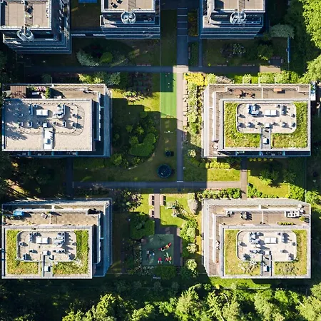 Tulipan - Visitopl *