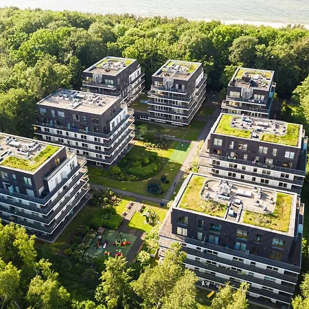 Tulipan - Visitopl *