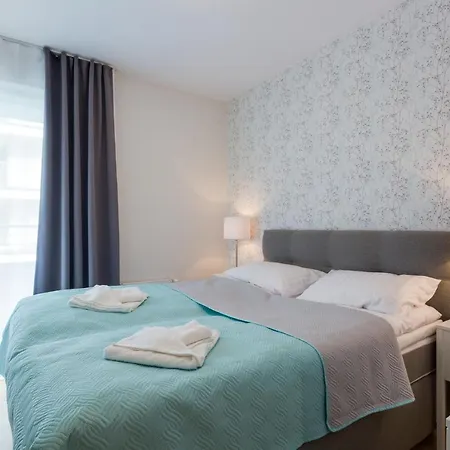 Tulipan - Visitopl 米兹多洛杰