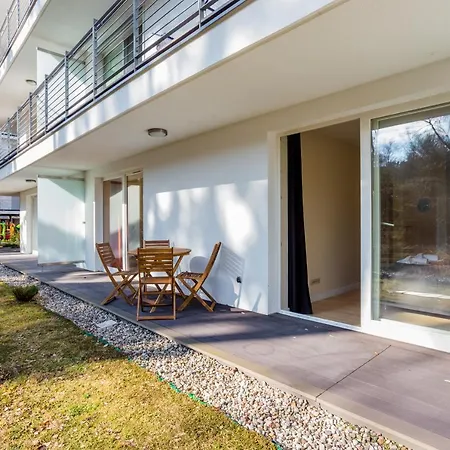 Tulipan - Visitopl *