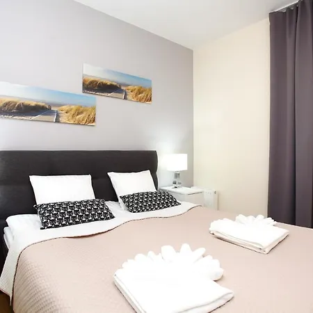 Tulipan - Visitopl * 米兹多洛杰