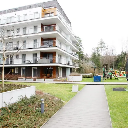 Tulipan - Visitopl *