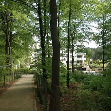 Tulipan - Visitopl *