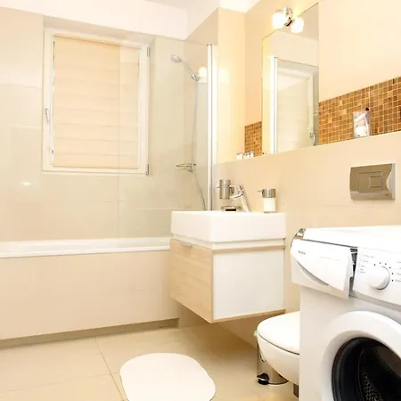 Tulipan - Visitopl * 米兹多洛杰