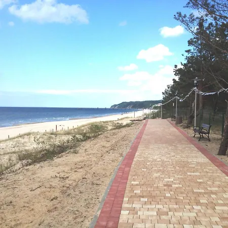 Tulipan - Visitopl * Międzyzdroje