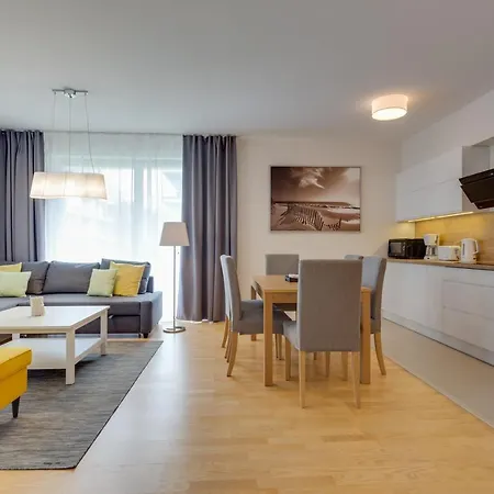 Tulipan - Visitopl *