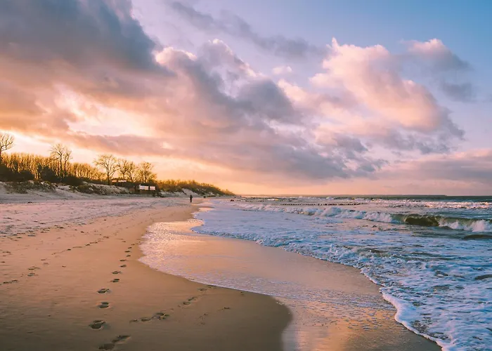 Tulipan - Visitopl 미엥지즈드로예