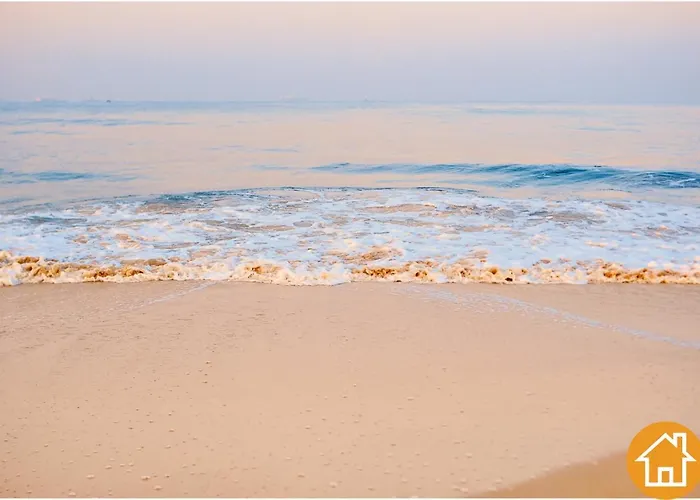 Tulipan - Visitopl 미엥지즈드로예