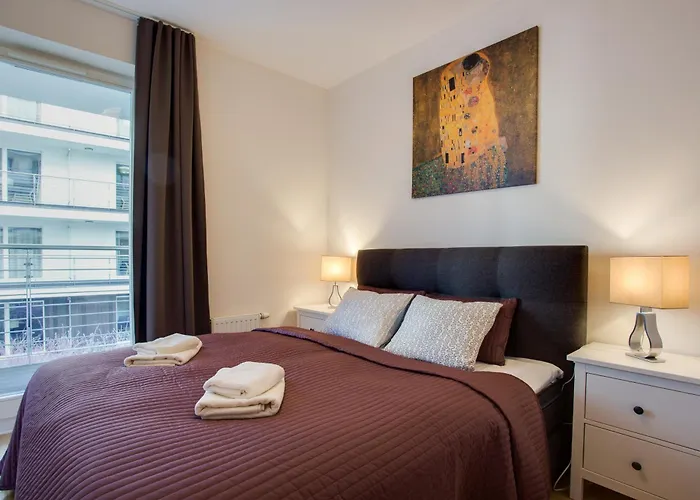 Tulipan - Visitopl *