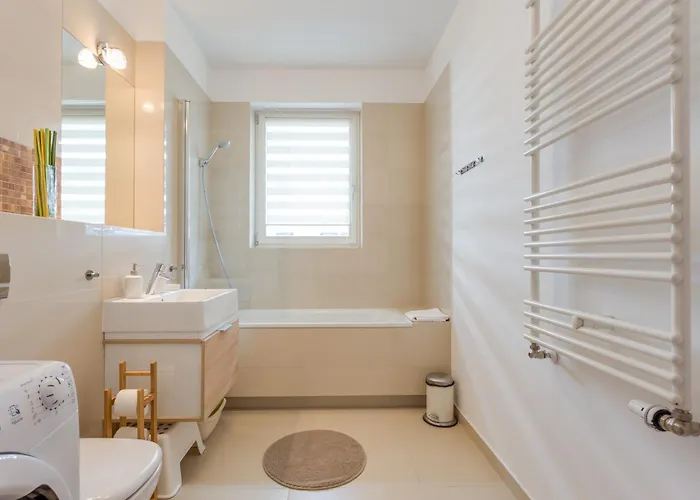 Tulipan - Visitopl 미엥지즈드로예