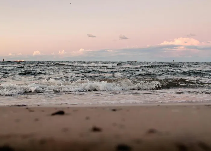 Tulipan - Visitopl Apartamento