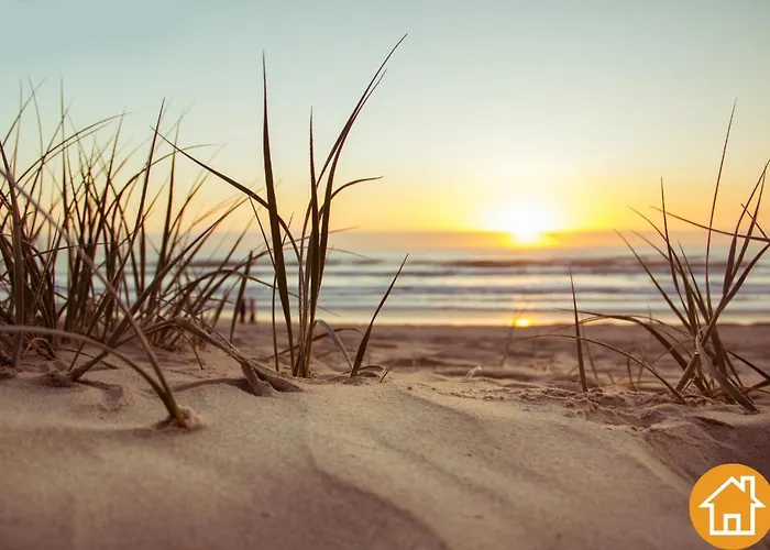 Apartamento Tulipan - Visitopl *