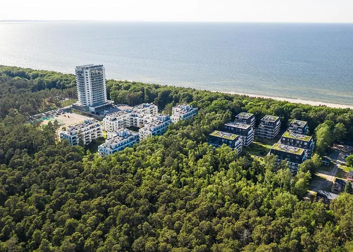 Tulipan - Visitopl *