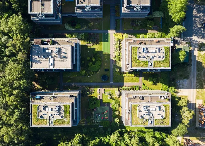 Tulipan - Visitopl *