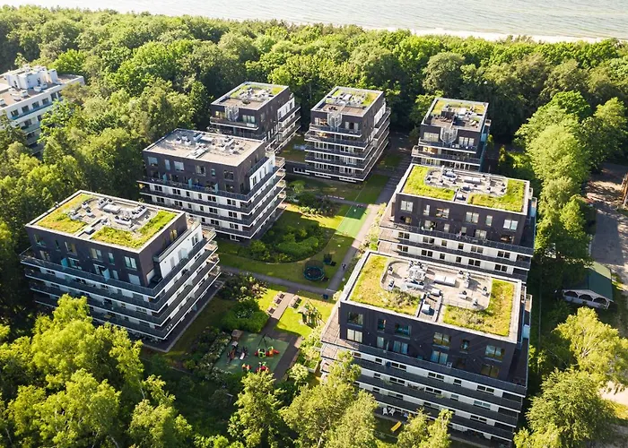 Tulipan - Visitopl *