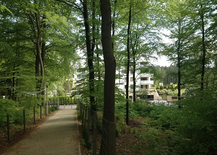 Tulipan - Visitopl *