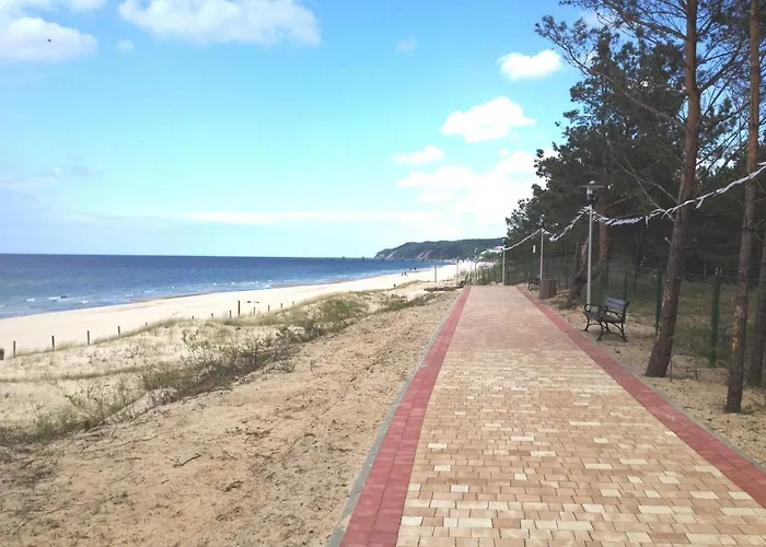 Tulipan - Visitopl * 미엥지즈드로예