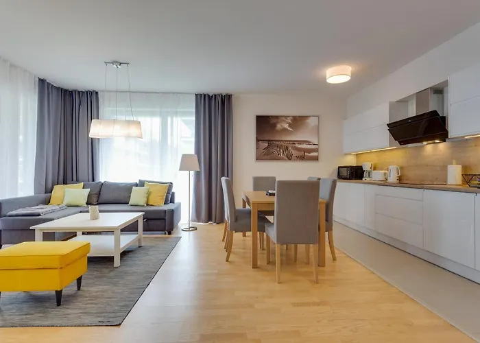 Tulipan - Visitopl *